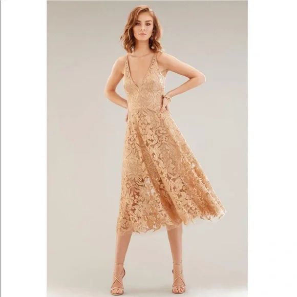 Dress the Population Blair Sequin Lace Fit & Flare Midi Dress in Gold/Nude  - www.rajagirimanappuram.com